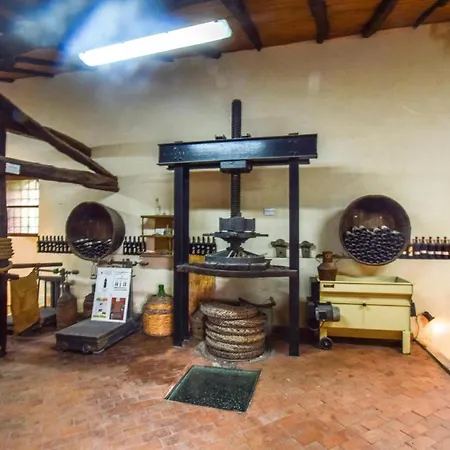 Cozy In With Kitchen Feriehus